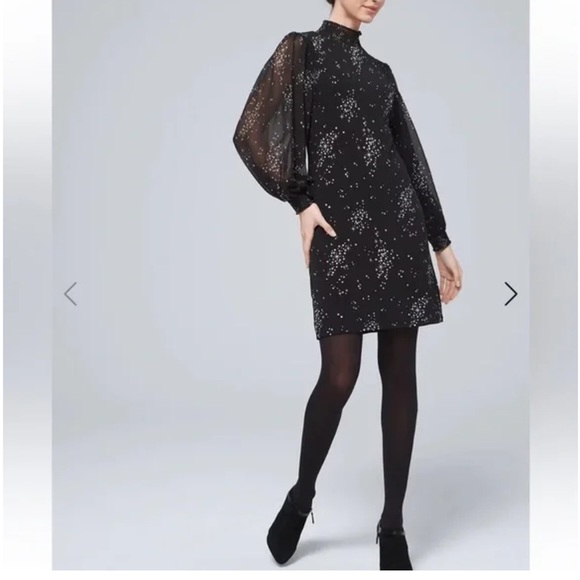 NWT! Bishop-Sleeved dress for fall - Picture 1 of 7